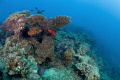 I took this pic in Jana island and this was my first pic using the 15mm fisheye.
