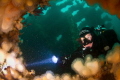 Diver peering through a hole on the Tapti wreck, Isle of Coll, Scotland.