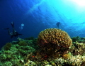 Underwater Exploration