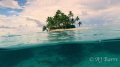 Taken at Shark island in Truk(Chuuk) Lagoon, with the black tip cruising around in the bottom picture and the little deserted island in the top, I believe this image to have a great 