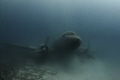 DOUGLAS C 47 A DAKOTA AIRPLANE WRECK
Canon 450, Tokina 10-17