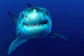 Keep smiling !!!
