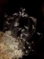 the ruffles