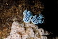 A nice Couple...