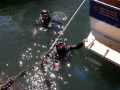 Each diver has Neptune bunch of star flowers if he is smiling.
