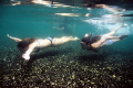 Girls swimming in the clear waters of Tarawera River
Note: A pre-digital photo, Nikon F90, no flash