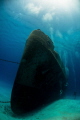 The looming Kittiwake