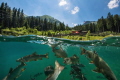 mountain lake in Austria ,Saiblingcity with the Divincenter.
