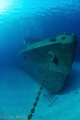 Bow of the Kittiwake