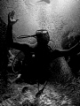 A diver in complete awe of the Silversides at Devil's Grotto