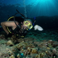 My buddy checking out 1 of 8 cuttlefish on our way out....or was the cuttlefish checking him out?