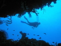has amazing dive in Gorontalo