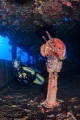 bridge telegraph @Nippo Maru, Chuuk
