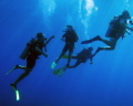 Divers
