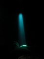 Green hole