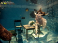 Underwater photoshoot for Videodance short video project.
Producer: Shay Rylski