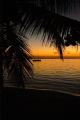 Roatan, Honduras.