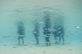 Training Class