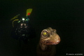 My new dive buddy