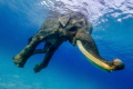 Finally, another shot from the Rajan serie. It´s my favorite one - no divers/models on it. Just HIM :-)
