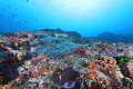 Nusa penida, crystal bay