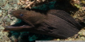 Murray -- My images are uploaded for fun and testing purposes, the do not compete --