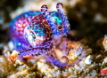 A Colorful Hug