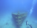 Great day for diving