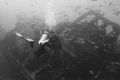 Dive Aruba's Clive Paula explores the wreck of the Antilla. Nikonos V, 20mm lens, Ikelite substrobe 100a.