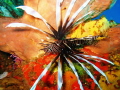All my pictures are taken with small wallet size canon power shot 8MP camera so gotta get close.  Lionfish are pretty when they're showing off.