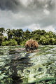 Diving from Lissenung Resort PNG, 10 year old Gabriel from Kavieng PNG while spearfishing. He also sings beautifully. More settings than true manipulation.