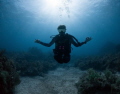Deptherapy. Chris although losing his legs still masters his buoyancy.