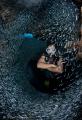 Swim Through  /  Summertime brings silversides in abundance to the Cayman Islands and swimming through them is a spectacular experience.