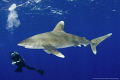 Diver and Oceanic facing it´s blind eye towards me