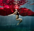 Red butterfly