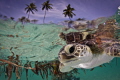Hatchling