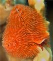 Taken at Salt Pier, Bonaire N.A.
