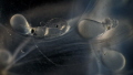 Two stages of development of SQUID are visible in the picture. These eggs are about 3mm in diameter and when the little squid inside has used up all the nutrients in that 